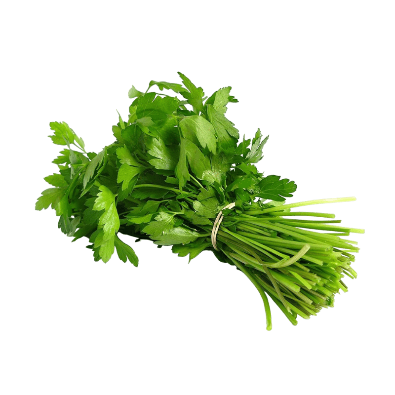 1 Bunch Fresh Dhaniya (ca. 40g to 60g) (Coriander leaves)