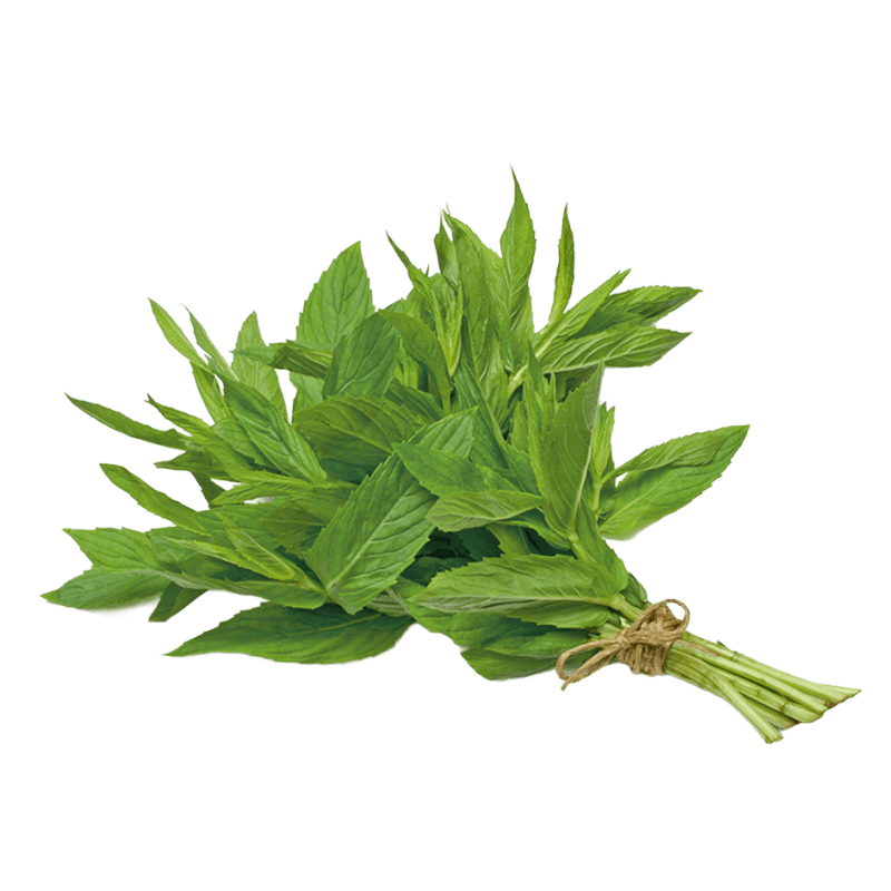 1 Bunch Fresh Pudina (ca. 40g to 60g) (Mint)