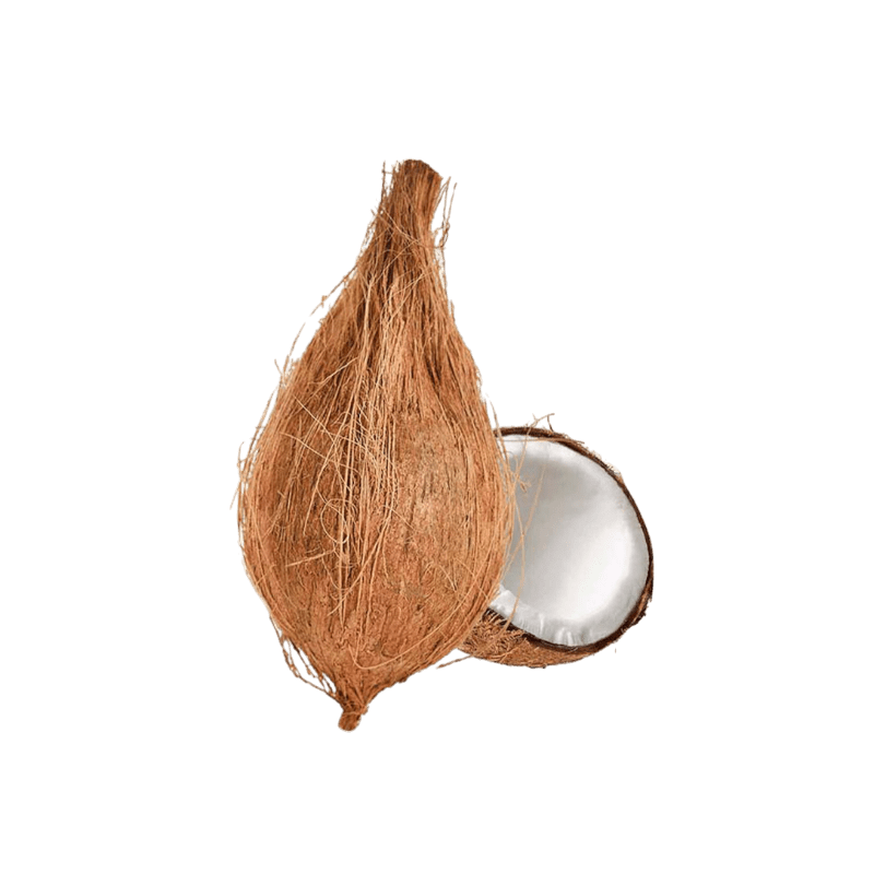 1 Piece Fresh Coconut (ca. 350g and 450g) (for Pooja)
