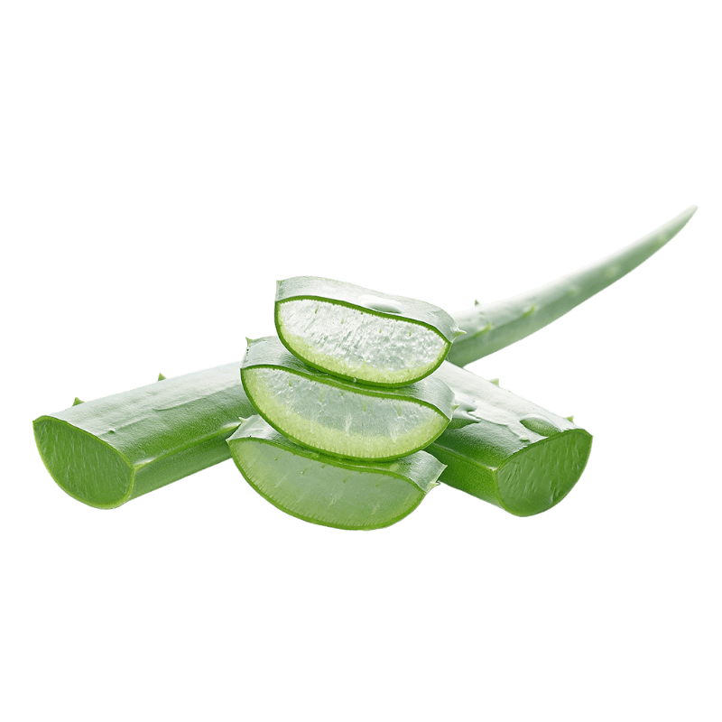 500-650g Aloe Vera (Ghritkumari)