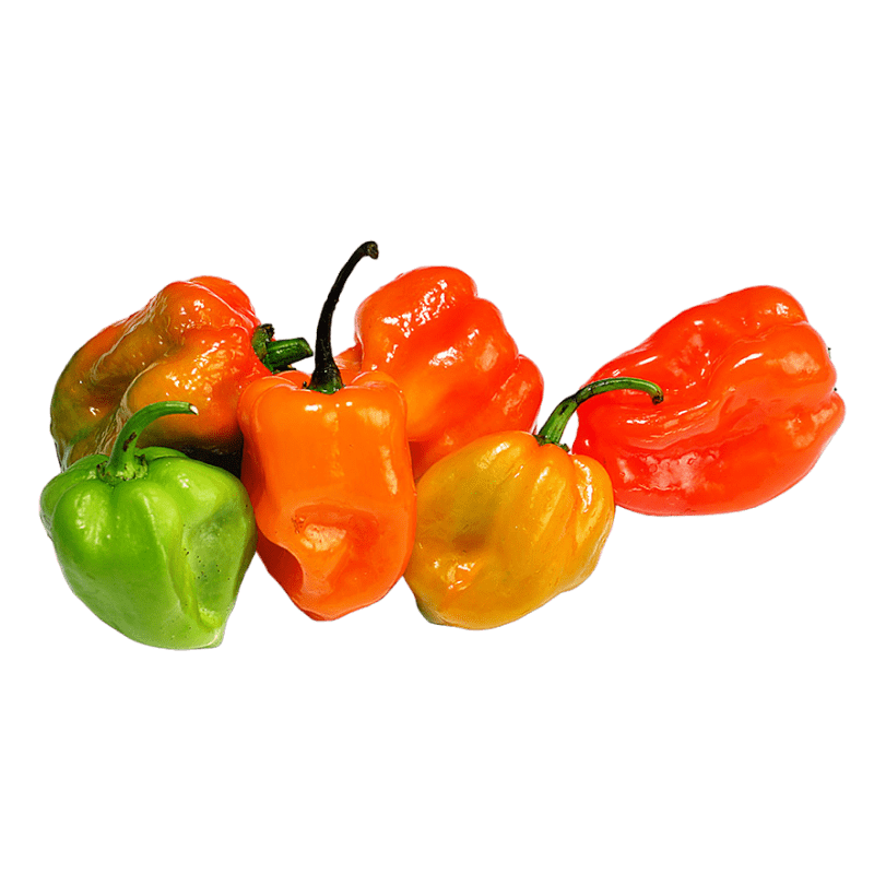 150g Fresh Habanero Chili