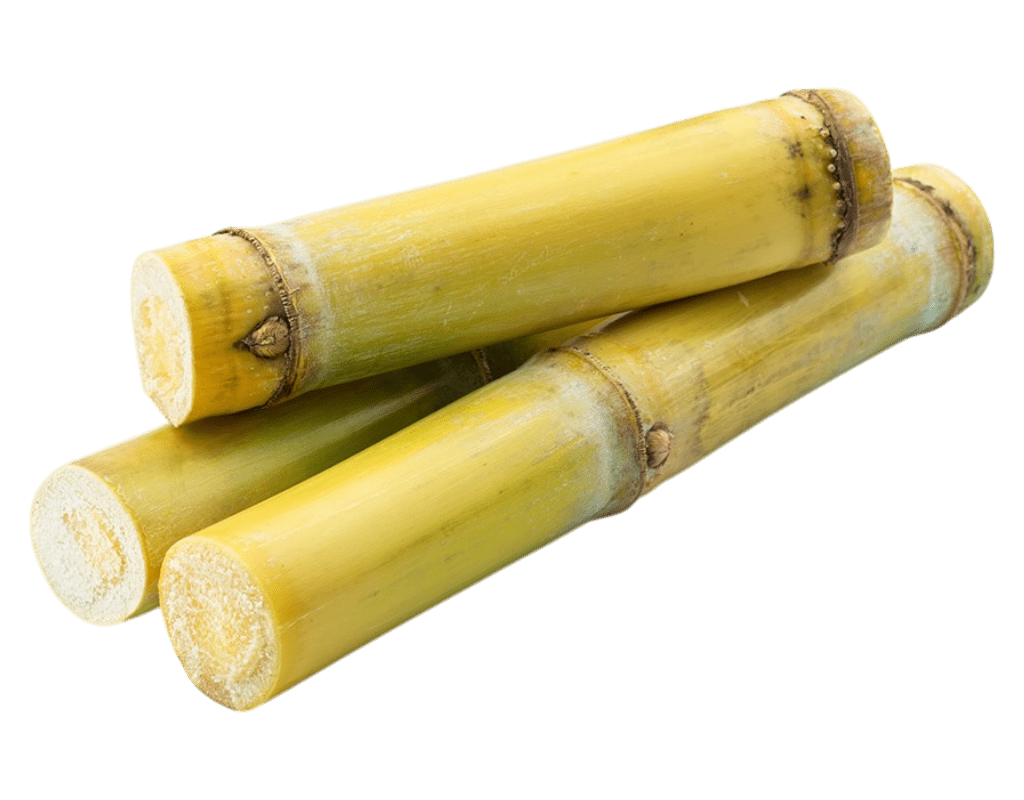 1kg Ganna (Sugarcane)