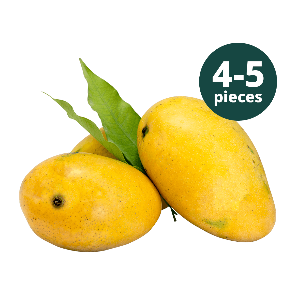 Fresh Mangoes