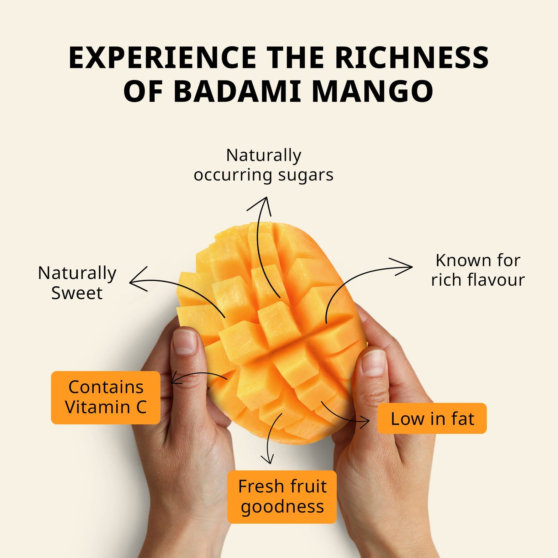 SEASON ENDED - 4 to 5 Fresh Badami Mango (BACK IN 2027)