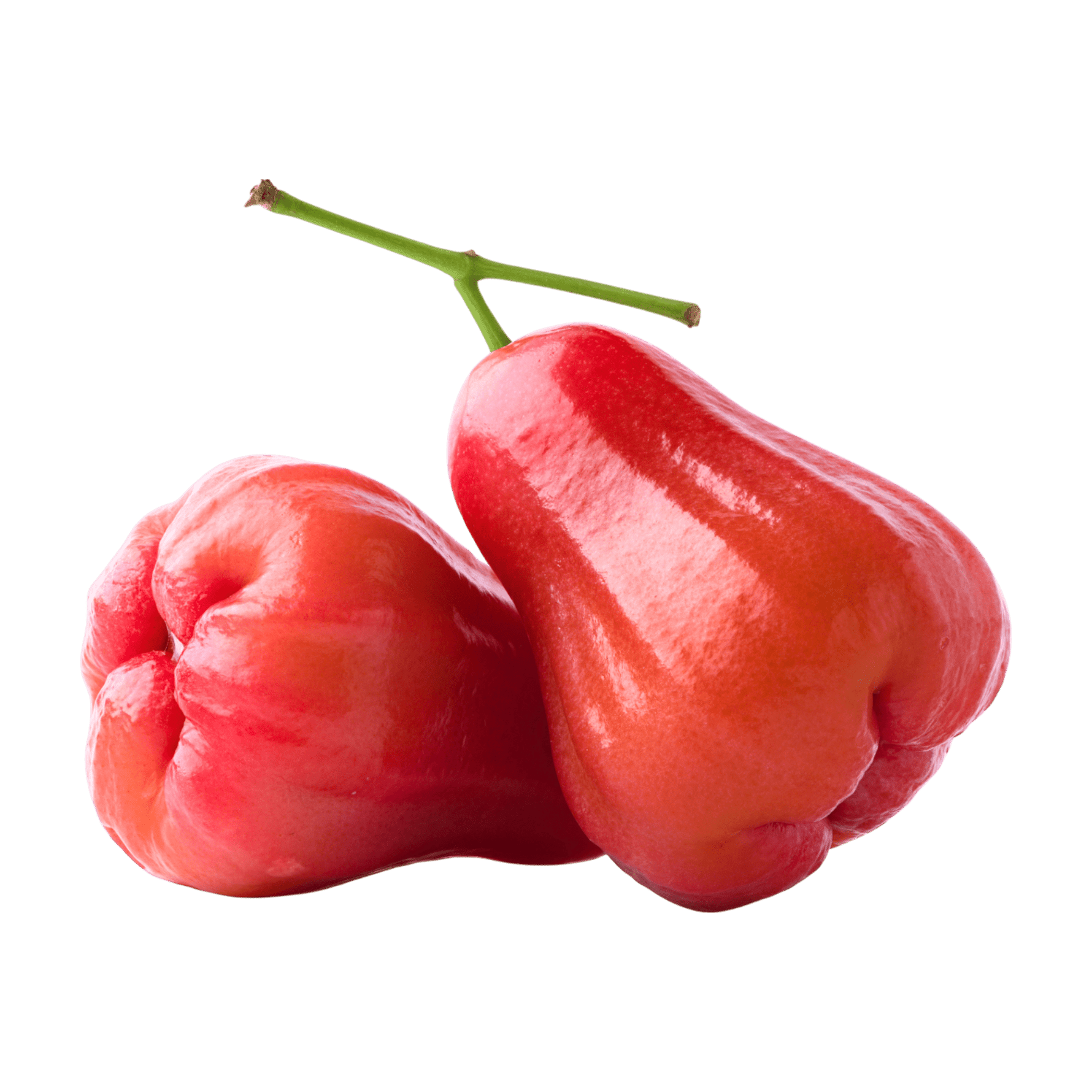 500g Fresh Safed Jamrul (Apple Rose)